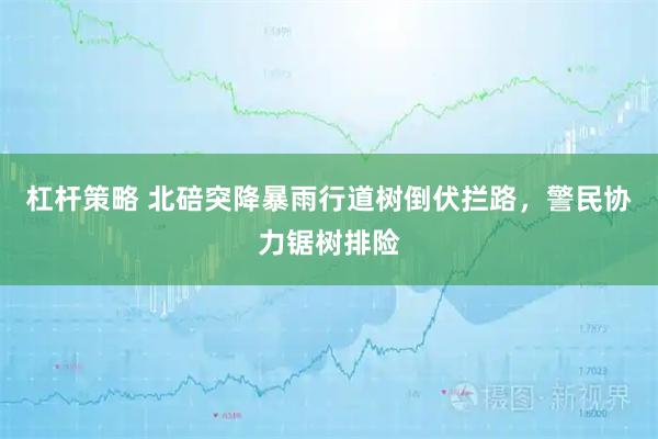 杠杆策略 北碚突降暴雨行道树倒伏拦路，警民协力锯树排险